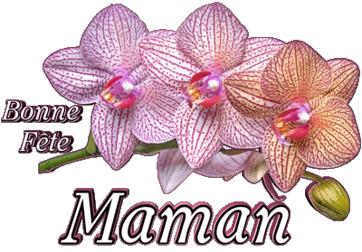 05 Bonne Fête Maman Französisch Nachrichten 