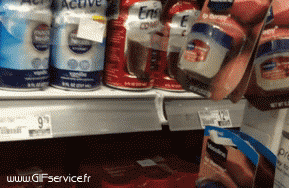 03 Cani Animali Umorismo -  Fun 