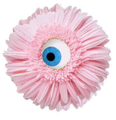 Chantal Caduff GIF Artistes Humour - Fun 