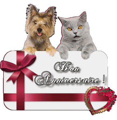 005 Animaux Bon Anniversaire Francés Mensajes 