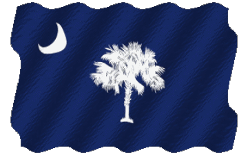 Welligkeit Carolina South U.S.A - States Amerika Fahnen 