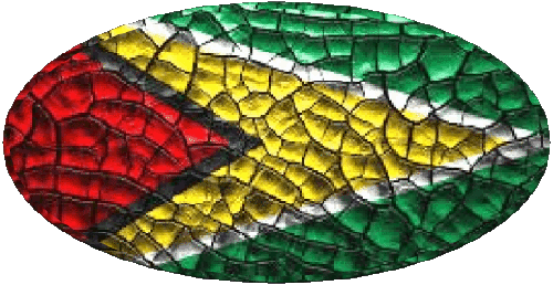 Ovale Guyana Amériques Drapeaux 