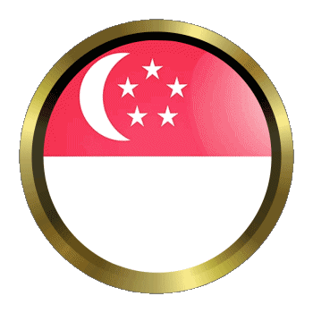 Round - Rings Singapore Asia Flags 