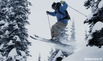 Free Ride Fun Win Ski Sport Humor -  Fun 