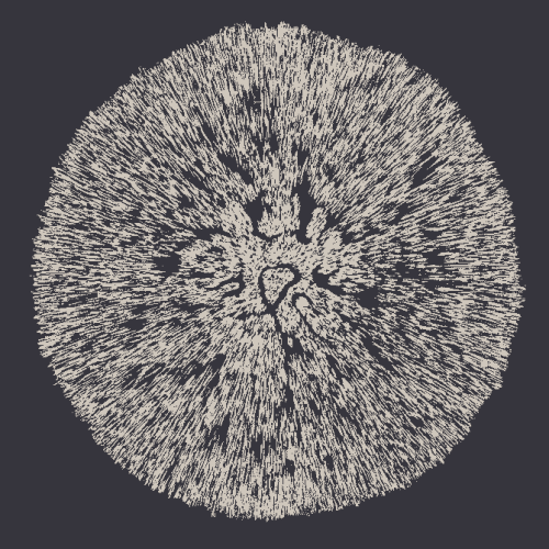 Erik Soderberg GIF Artists Humor -  Fun 