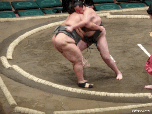Sumo Sports Humour - Fun 