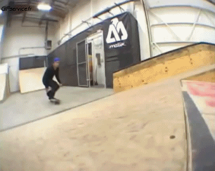 Free Style Fun - Win 02 Skateboard Sport Humor -  Fun 