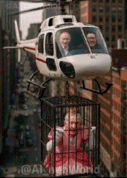 Policy Serie 01 A.I Mix Humor -  Fun 