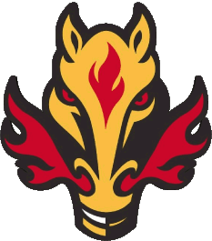 1994 B-1994 B Calgary Flames U.S.A - N H L Hockey - Clubs Deportes 