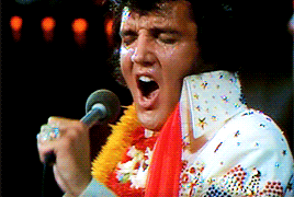 Elvis Presley Rock USA Music Multi Media 