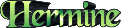 Hermine H WEIBLICH - Frankreich Vorname 