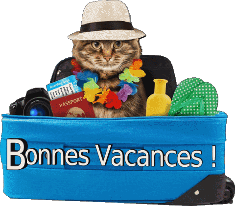 12 Fondo transparente Bonnes Vacances Francés Mensajes 