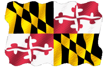 Ondulation Maryland U.S.A - Etats Amériques Drapeaux 