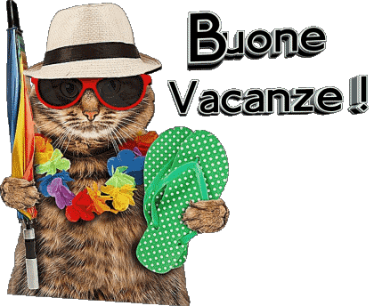 30 Fond Transparent Buone Vacanze Italien Messages 