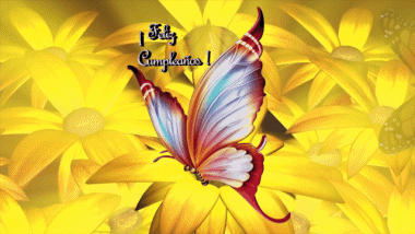 001 Animated Background Mariposas Feliz Cumpleaños Spanish Messages 