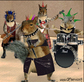 Serie 01 Ecureuils Animaux Humour - Fun 