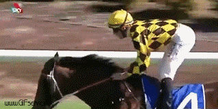 Serie 01 Chevaux Animaux Humour - Fun 