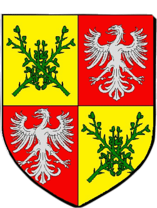 Blazon-Blazon GENAS 69 Departments - Cities France Flags 