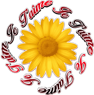 03 Je T'aime French Messages 