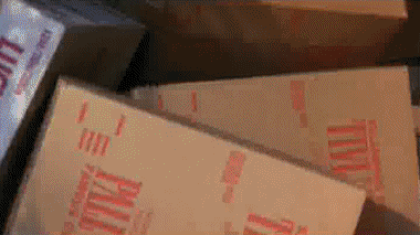 01 Video Beverly Hills Cop V International Multimedia 