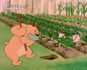 Garden Gopher Tex Avery Cartoons TV Filme Multimedia 