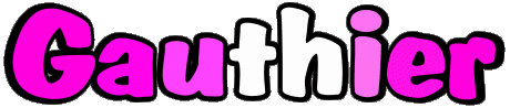 Gauthier G MASCULIN - France Prénoms 