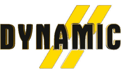 Dynamic Skiing - Equipment Sports 