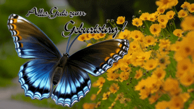 004 Animated Background Schmetterlinge Alles Gute zum Geburtstag German Messages 
