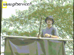 01 Serpenti Animali Umorismo -  Fun 