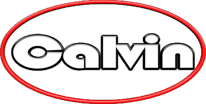 Calvin C MASCULIN - France Prénoms 