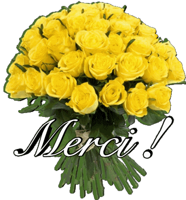 011 Merci Francese Messagi 