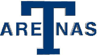 1917-1917 Toronto Maple Leafs U.S.A - N H L Hockey - Clubs Sports 