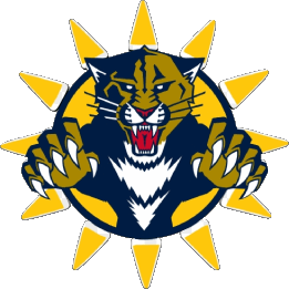 1993 E-1993 E Florida Panthers U.S.A - N H L Hockey - Clubs Sportivo 