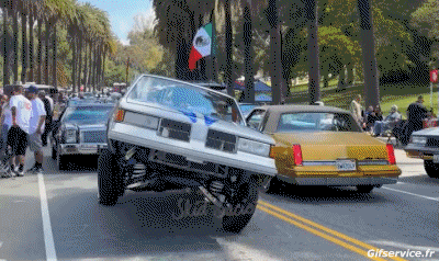 Lowriding Macchine Trasporti Umorismo -  Fun 