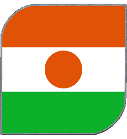 Quadrato Niger Africa Bandiere 