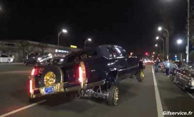 Lowriding Cars Transport Humor -  Fun 