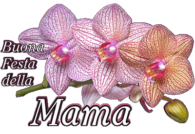 05 Buona Festa della Mamma Italien Messages 