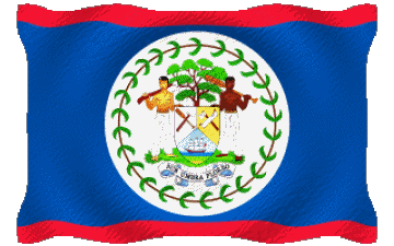 Waving Belize America Flags 