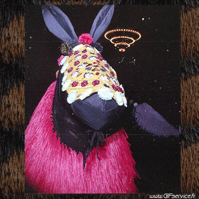 Stéreoscopique Wiggle Effetti 3d Umorismo -  Fun 