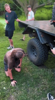 Serie 01 Bevande PERSONE Umorismo -  Fun 