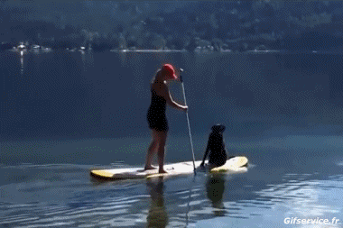 Fun Win Paddle Sportivo Umorismo -  Fun 