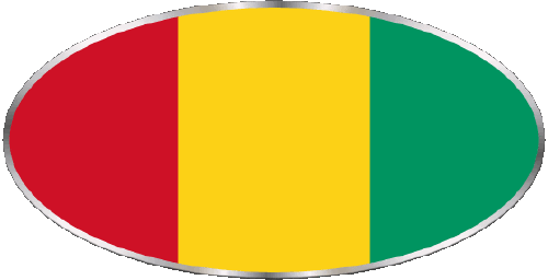 Oval 01 Guinea Africa Flags 