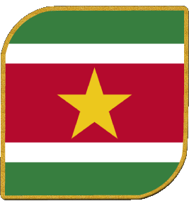 Quadrato Suriname America Bandiere 