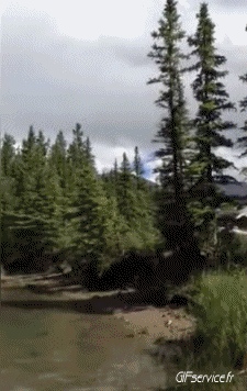 Fun - Win Boats Transport Humor -  Fun 