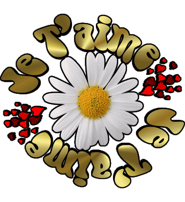 05 Je T'aime Französisch Nachrichten 