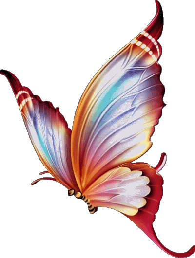 008 Transparenter Hintergrund Papillons Bon Anniversaire Französisch Nachrichten 