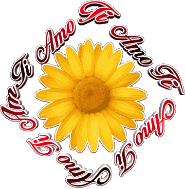 02 Ti Amo Italian Messages 