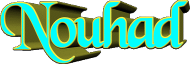 Nouhad N WEIBLICH - Maghreb Muslim Vorname 