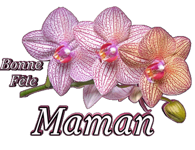 05 Bonne Fête Maman Francese Messagi 