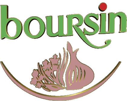 Boursin Frankreich Käse Essen 